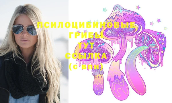 ПСИЛОЦИБИНОВЫЕ ГРИБЫ Бронницы