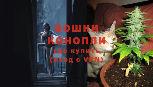 сатива Бугульма