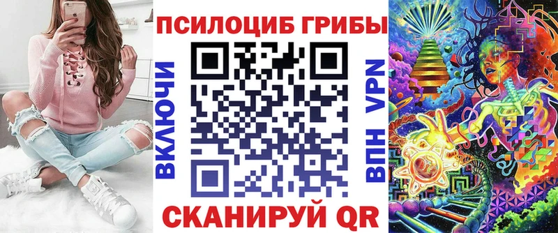 где купить наркоту  нарко площадка клад  Псилоцибиновые грибы Psilocybe  Новотроицк 