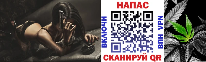 где можно купить наркотик  Новотроицк  Бошки марихуана ГИДРОПОН 